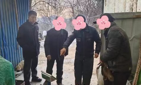 1447079517.jpg
