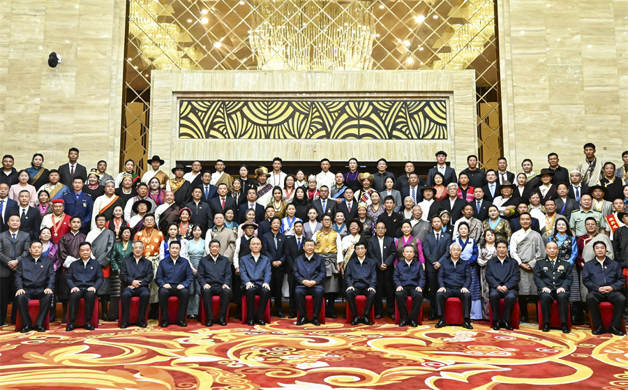 習(xí)近平接見西藏各族各界代表